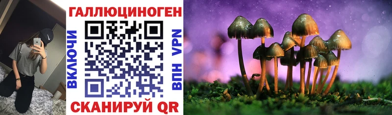 Псилоцибиновые грибы прущие грибы где найти наркотики Ленск